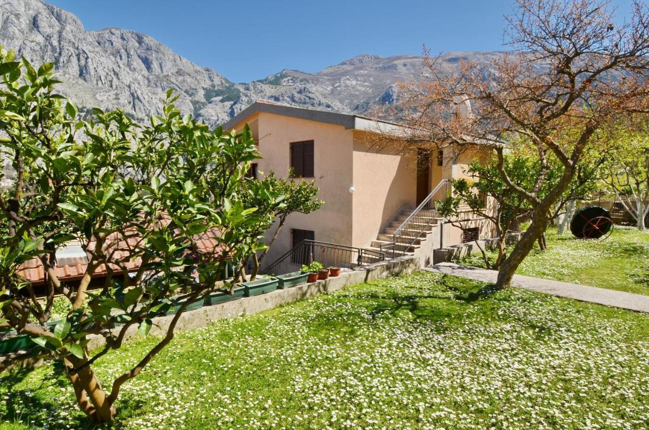 Apartments Andrija Kotor Exterior foto
